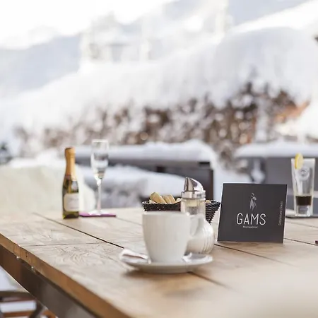 Hotel Boutique Gams 4*