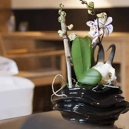 Boutique Gams Hotel 4*